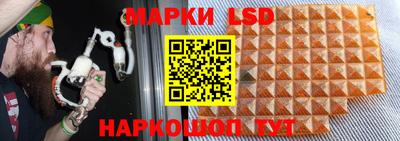 трава Новозыбков