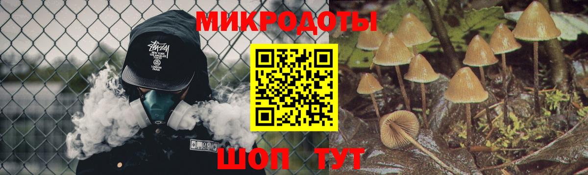 Псилоцибиновые грибы Psilocybe  Вход с VPN  Урюпинск 
